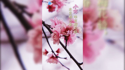 https://hi.hiweihai.net/uploadfile/2024/1225/20241225104227871.gif