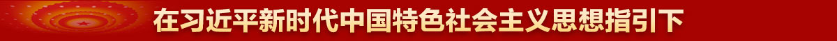 在習近平新時代中國特色社會主義思想指引下 